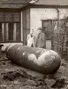 An_unexploded_parachute_mine_sits_in_a_garden_on_Score_Lane_Childwall_28_November_1940.jpg