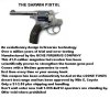 darwin pistol3.JPG