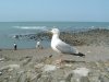 DSCF0022.jpg