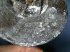 S7003076.jpg