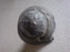 DSC00706.jpg