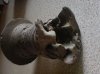 DSC00709.jpg