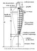 60MM BRANDT MLE 15.jpg
