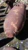 20160407_133312.jpeg