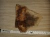 20160625_170758.jpg 20160625_170758.jpg