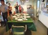 DSCF1517.jpg DSCF1517.jpg
