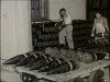 shell_handling_001645.jpg shell_handling_001645.jpg