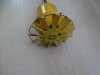 DSC00379.JPG