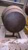 Unknown shell 381-02.jpg