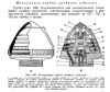 Image13.jpg