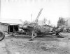 6pdr 6cwt3.jpg