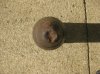 7.5cm PzGr. 39-42 projectile - uncleaned (3) r.jpg 7.5cm PzGr. 39-42 projectile - uncleaned (3) r.jpg