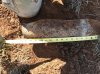 4.5 in. Projectile (UNKNOWN) WP Filled.3 IMG_2549.jpg 4.5 in. Projectile (UNKNOWN) WP Filled.3 IMG_2549.jpg