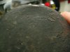 90 1939 1.jpg
