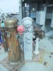 DSCF6695.jpg DSCF6695.jpg