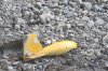 ammunition weighing approximately 30 kilograms was found, measuring thirty centimeters in length.jpg ammunition weighing approximately 30 kilograms was found, measuring thirty centimeters in length.jpg