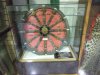 DSCF7876.jpg DSCF7876.jpg