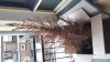 IMG-20181222-WA0000.jpg