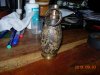 DSCN1545.jpg DSCN1545.jpg