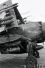 Douglas AD-2 Skyraider Korea 1952.jpg