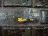 1-14b Yellow under Lever.jpg 1-14b Yellow under Lever.jpg