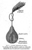 Image30.jpg Image30.jpg