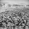 4 The Drive for Messina 10 July  17 August 194 A huge dump of German Teller mines captured by th.jpg