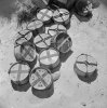 21 Commonwealth_Forces_in_North_Africa_1940-43_E13902.jpg