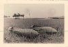 200kg French Bombs WWII Photo-.JPG