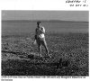 PR and WA Fairfax 2001 EOD_Page_1a.jpg PR and WA Fairfax 2001 EOD_Page_1a.jpg