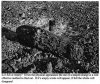 PR and WA Fairfax 2001 EOD_Page_1b.jpg PR and WA Fairfax 2001 EOD_Page_1b.jpg