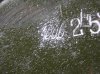 ICE-SM-292-25.jpg