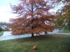 DSCF2220.jpg DSCF2220.jpg