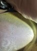 thumbnail_IMG_0376.jpg thumbnail_IMG_0376.jpg