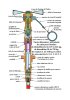 Fusees Culot Aeronavale Culot  detonateur percutante bombes de demolition.jpg