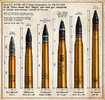 shells comparativ 2022_V5_1200.jpg