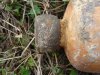 DSC00903a.jpg