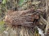 DSC00920a.jpg