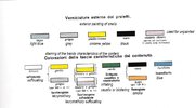 chemical shells color code 1918.jpg