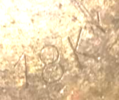 18Ky.png