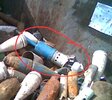 recovered relic explosive bomb mine grenade rocket projectile ordnance   (25).jpg