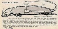 Rat Explosive (21).jpg