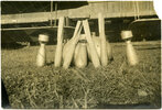 Bombos skirtos priešams per Nepriklausomybės kovas.jpg Bombos skirtos priešams per Nepriklausomybės kovas.jpg
