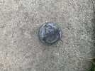 IMG_0584.jpeg
