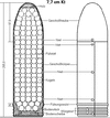 7,7 cm (03).GIF