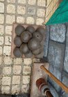 IMG_8961.JPG