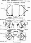 pyrMa-089.jpg