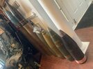 IMG_1663.jpeg