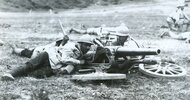 07 - Tunul Gruson calibrul 53mm, model 1887 -1916.jpg