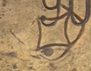 1791057319416.png